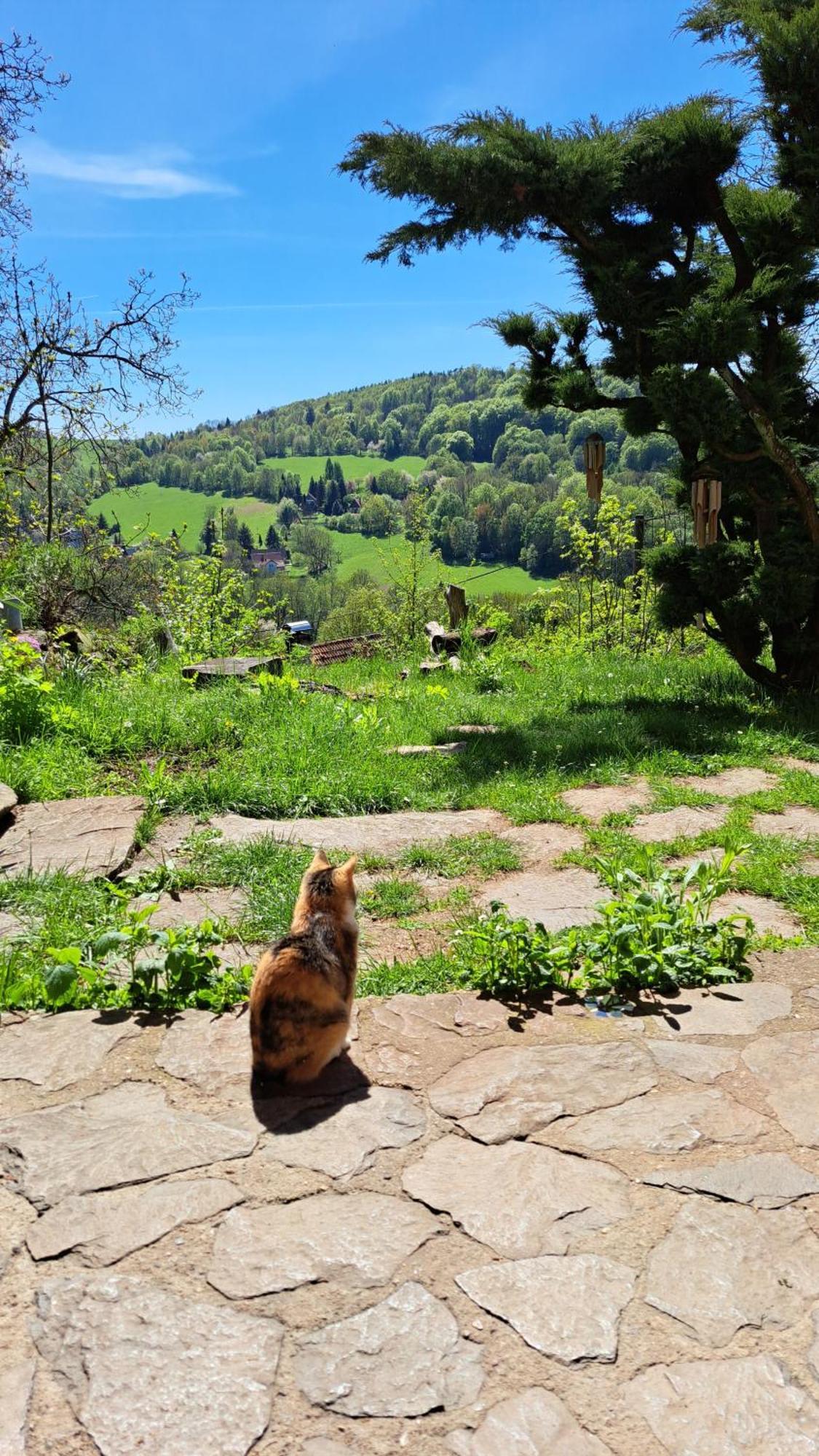 Radja Hobit Penzion Malecov Buitenkant foto